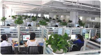 北京互联网营销与设计策划公司的双轮驱动 互联网销售的新引擎